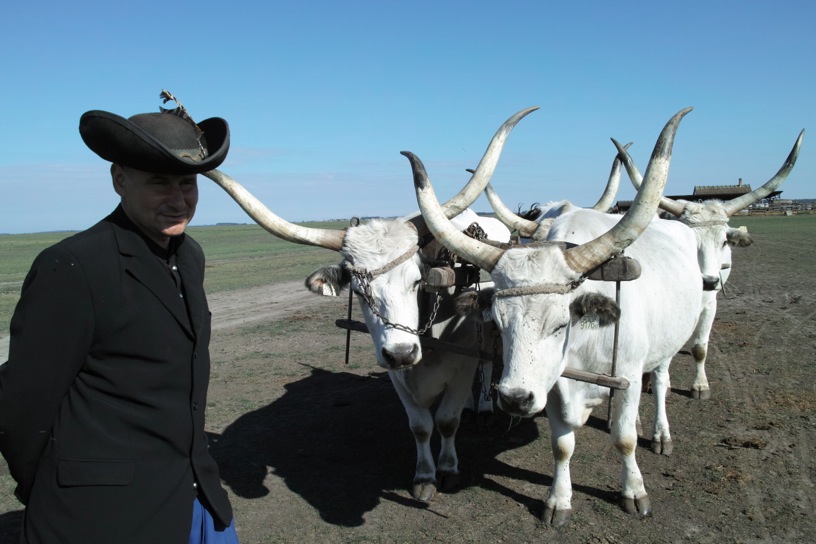 ホルトバージ国立公園 Hortobágy National Park - the Puszta_d0133581_6392482.jpg