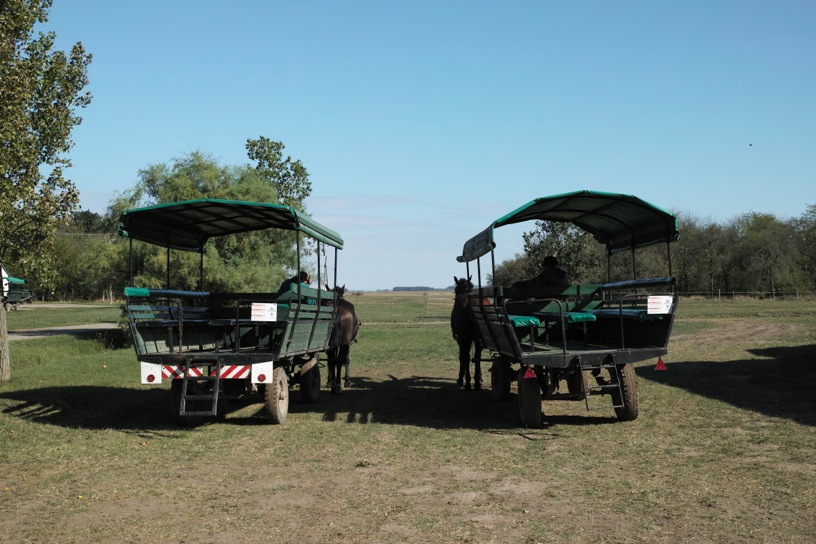 ホルトバージ国立公園 Hortobágy National Park - the Puszta_d0133581_6402060.jpg