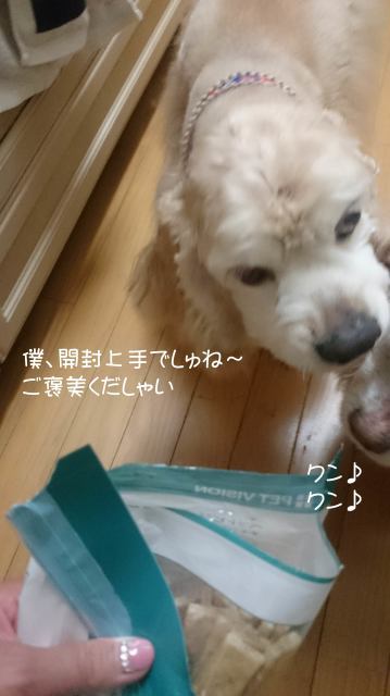 f0218182_11155150.jpg