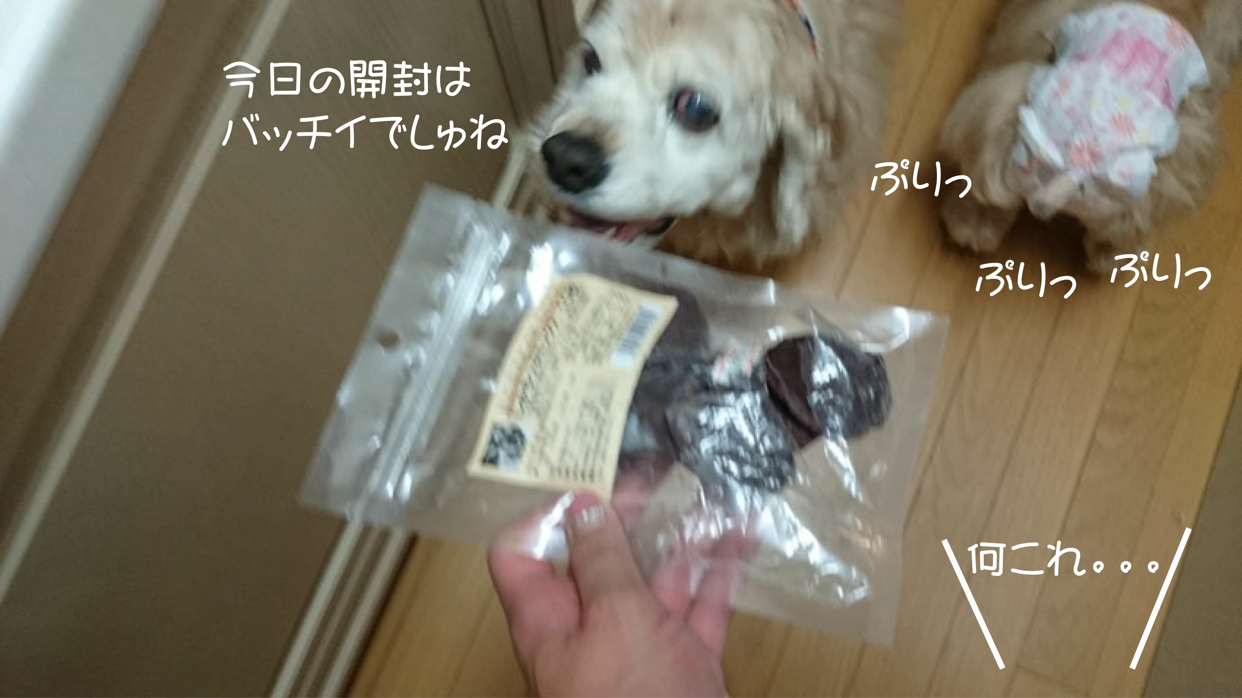 f0218182_11263252.jpg