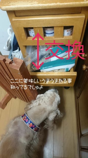 連チャンで開封事件_f0218182_11313643.jpg