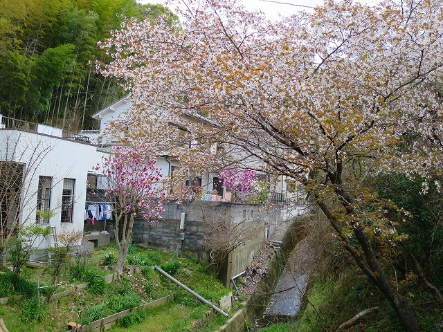 熊野古道・紀伊路　川端王子～伊太祁曾神社ー３_b0326483_20152330.jpg