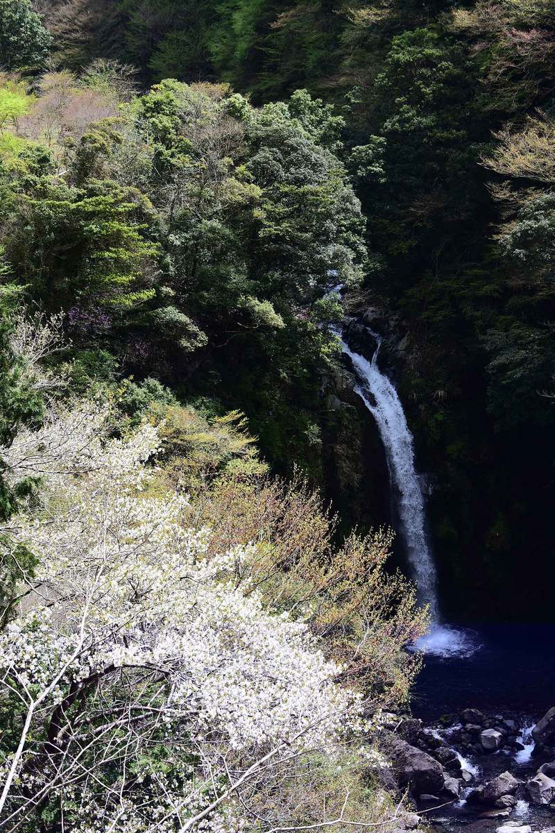 c0176183_13491592.jpg