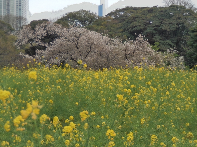 浜離宮恩寵公園　テイク２_b0207284_4465937.jpg