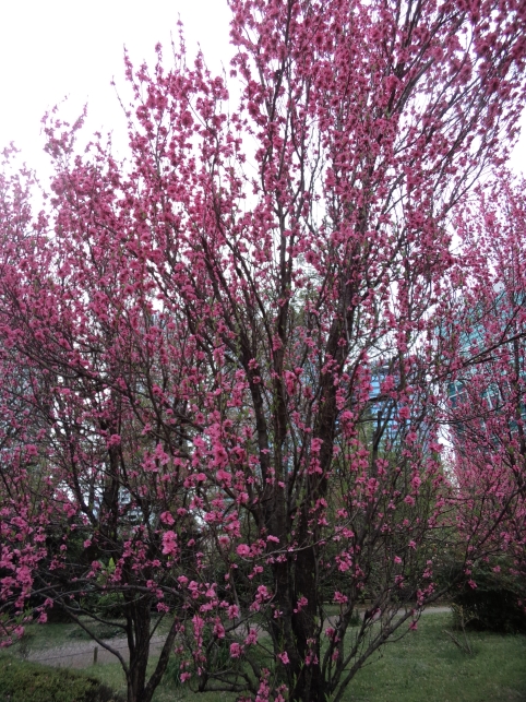 b0207284_449880.jpg