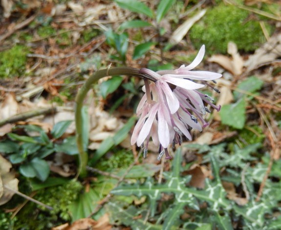 c0144185_204951.jpg