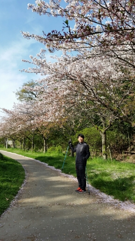 桜舞い散る鶴林寺_e0326688_10370321.jpg