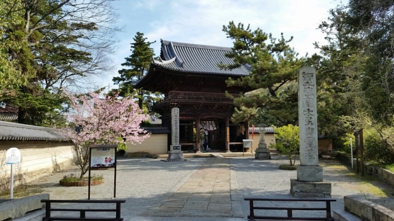 桜舞い散る鶴林寺_e0326688_10370495.jpg