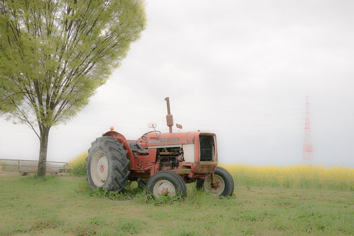 おぼろな春の牧場_d0353489_16431547.jpg