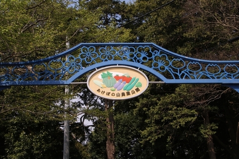 あけぼの山農業公園_d0104892_063620.jpg