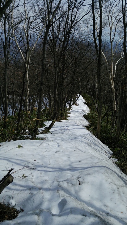使える！ファイントラックの小物たち！