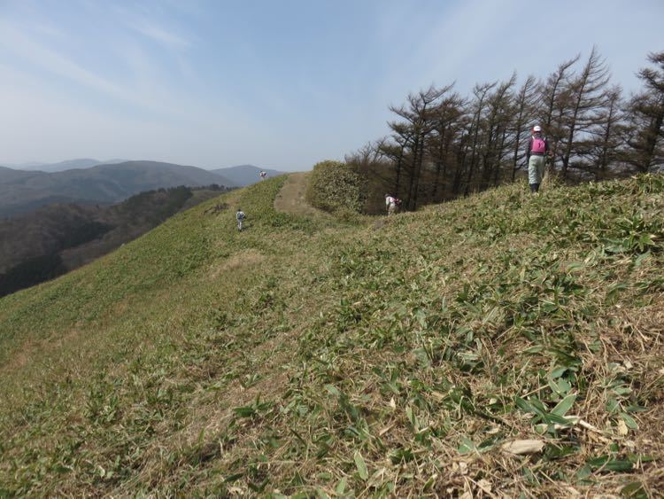 雲月山の山焼き2016_e0295994_18502270.jpg