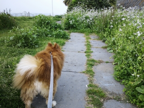 c0128896_05213911.jpg