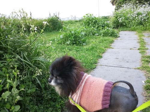 c0128896_05215498.jpg