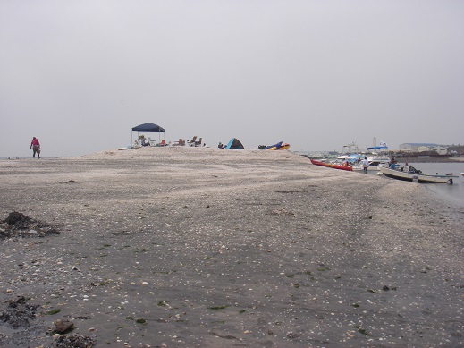 e0147297_23304562.jpg