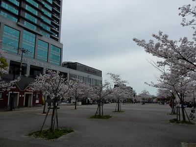 b0051598_212043.jpg