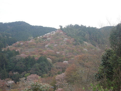 e0353802_17504902.jpg