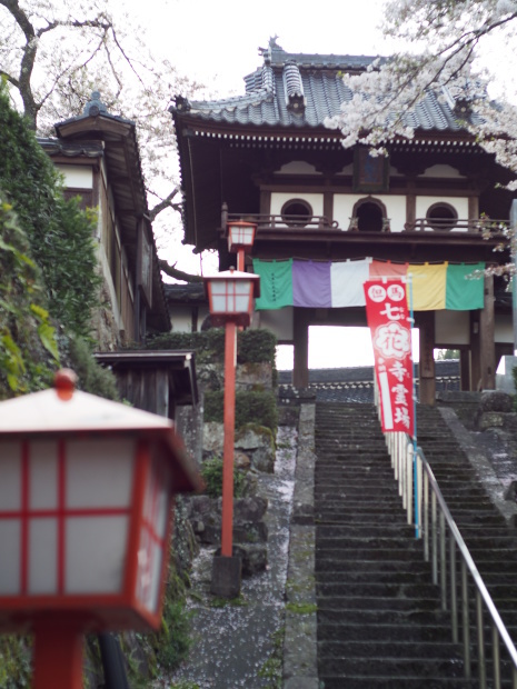 湯村温泉お花見ツーリング。_c0346503_15503226.jpg