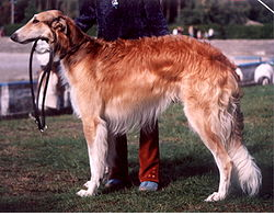 f0220504_1701139.png