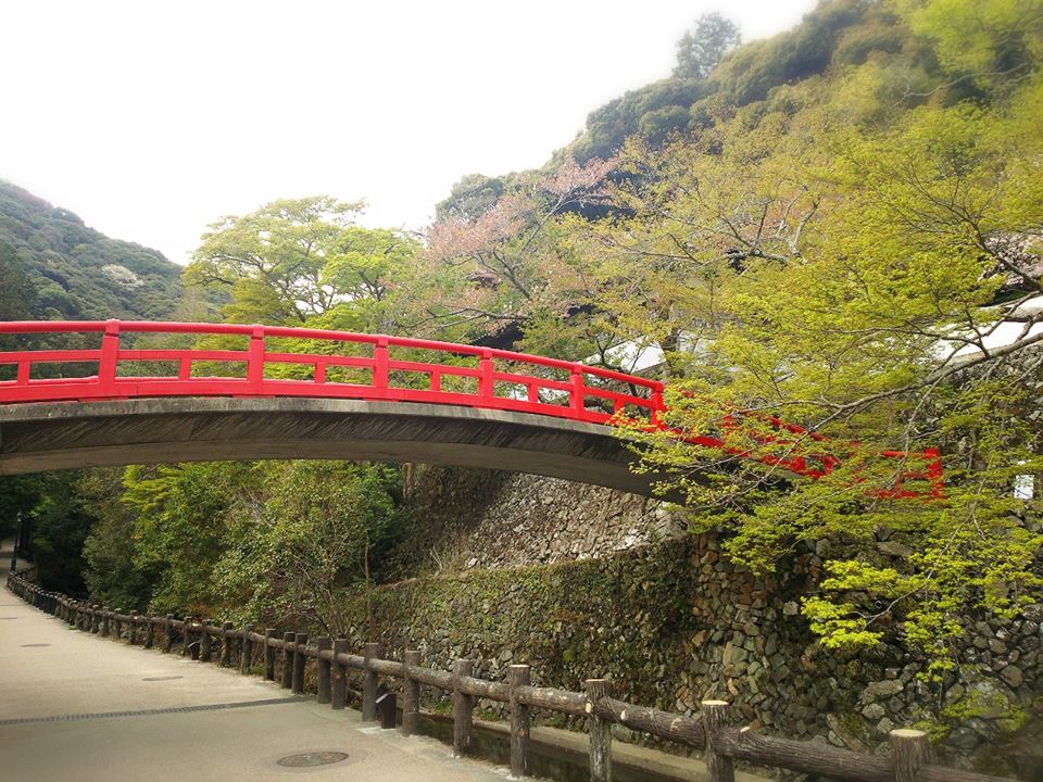 f0276708_16221346.jpg