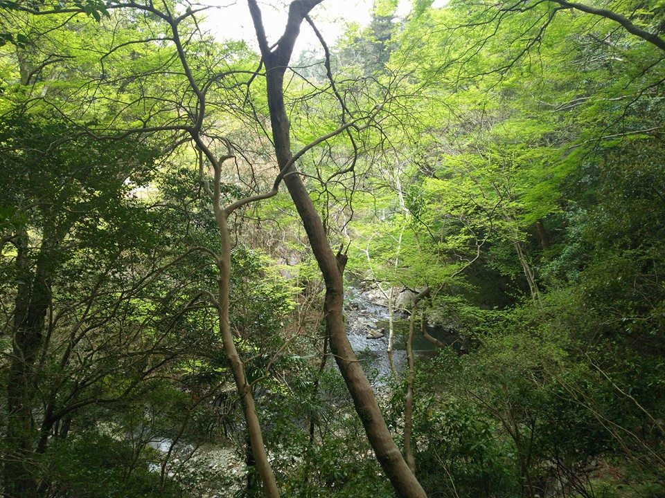 f0276708_1623295.jpg
