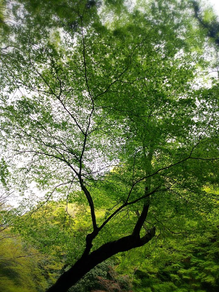 f0276708_16242655.jpg