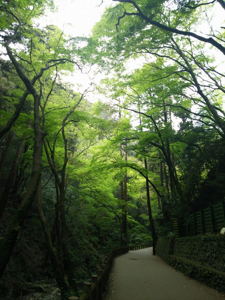 f0276708_16271115.jpg