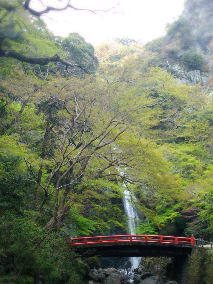 f0276708_16283682.jpg