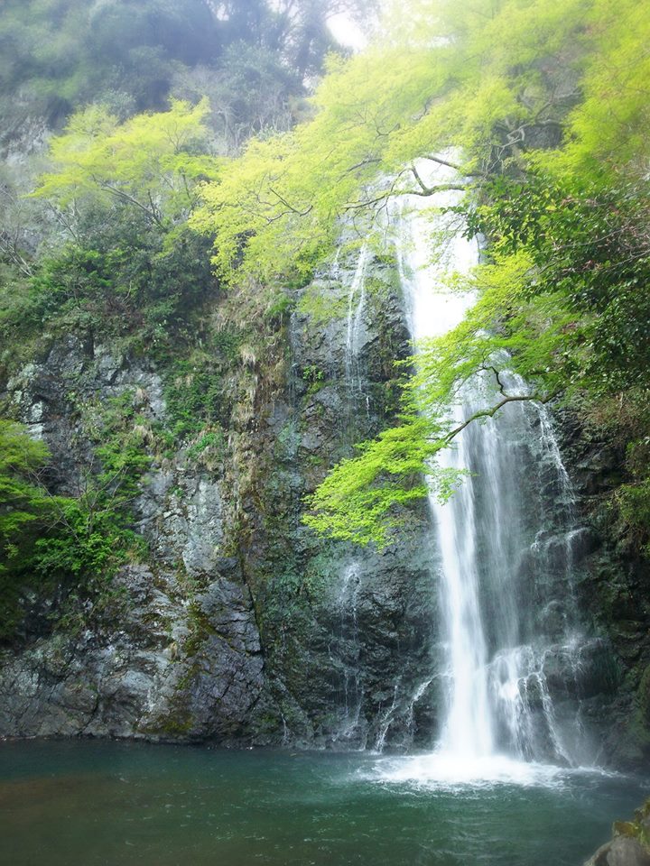f0276708_16295429.jpg