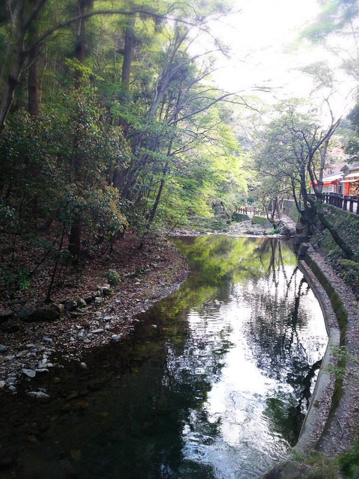 f0276708_16312389.jpg