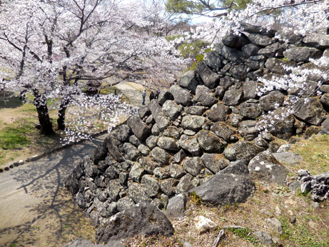 上田城址と桜が満開の高遠城址公園_d0020309_13492826.jpg