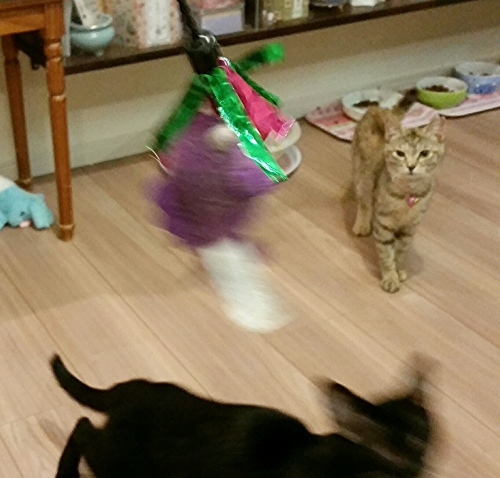 e0144012_16500411.jpeg