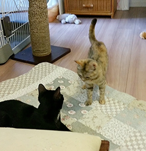 e0144012_16541201.jpeg