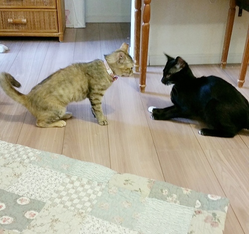 e0144012_16563157.jpeg
