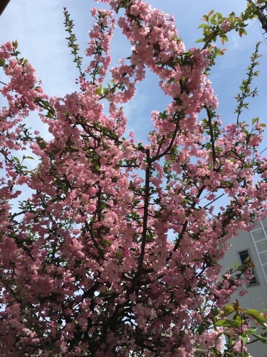 友人から離婚の報告 どんな人生も好き 友人から離婚の報告 どんな人生も好き