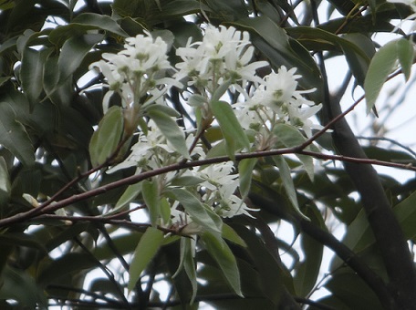 b0181818_9271659.jpg