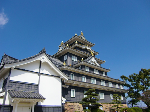 岡山城（岡山県岡山市）_c0219820_23392061.jpg