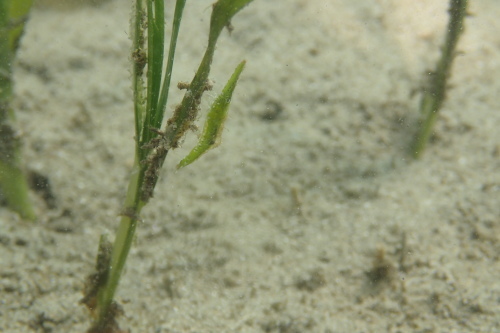 c0115421_20111704.jpg