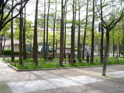 f0158625_17242831.jpg