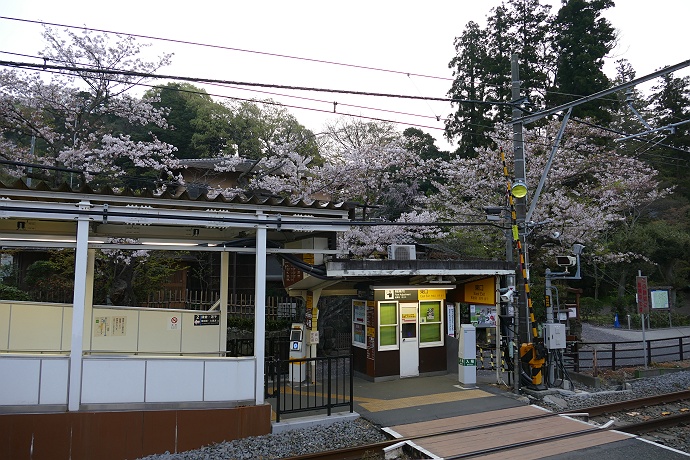 北東尾根から城山、そして高尾山へ　その１_c0196928_105016.jpg