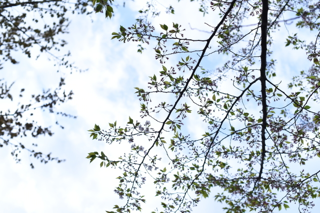 a0318033_18121712.jpg