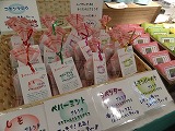f0167635_8201435.jpg