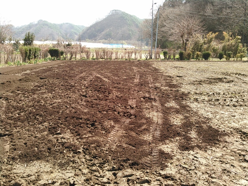 私のまめつぶ自給農園2016 Vol.2畑の準備_b0206037_12305079.jpg