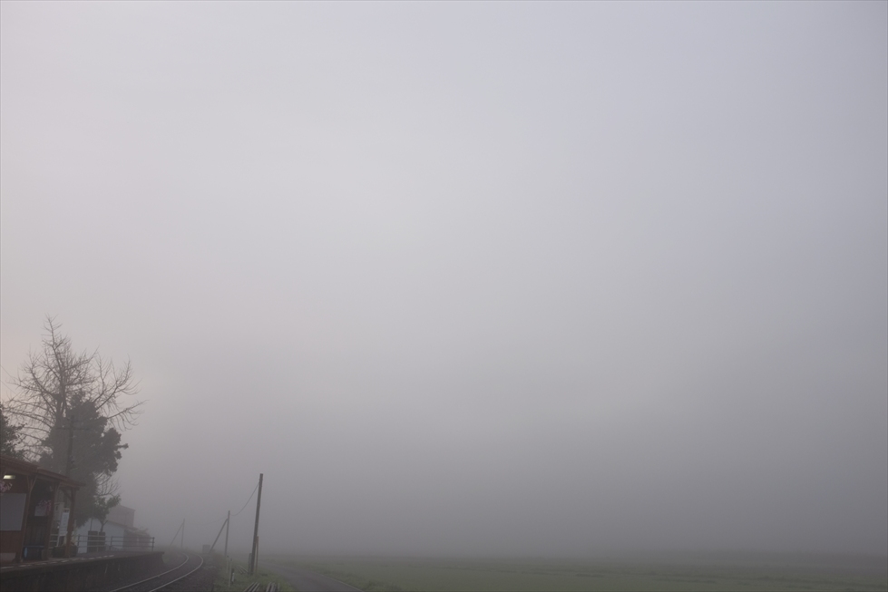c0104242_20415027.jpg