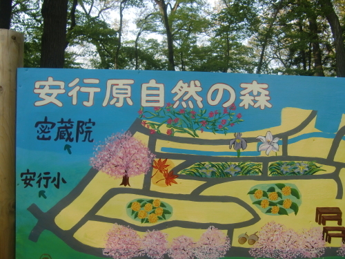 f0329849_21532429.jpg