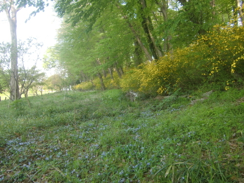 f0329849_21560420.jpg