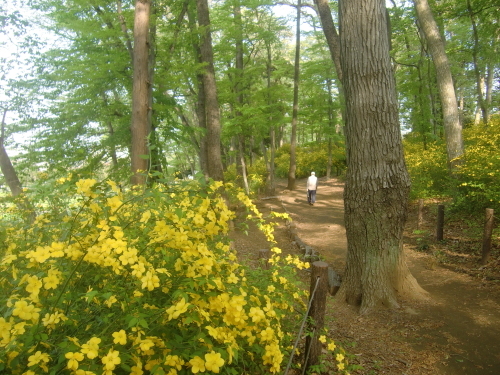 f0329849_21570119.jpg