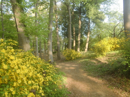 f0329849_21591584.jpg