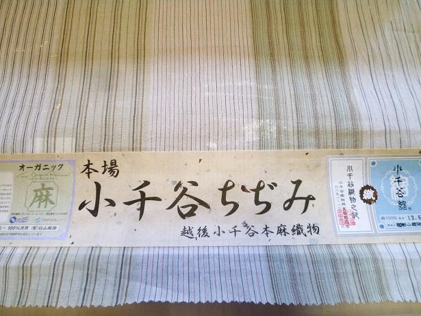 竺仙ライオン麻名古屋帯・オーガニック麻小千谷縮。_f0181251_17485655.jpg