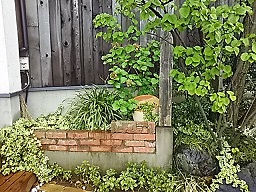 f0130259_1118037.jpg